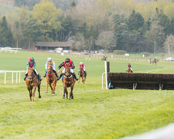 Pony Race 2  (6 of 33)