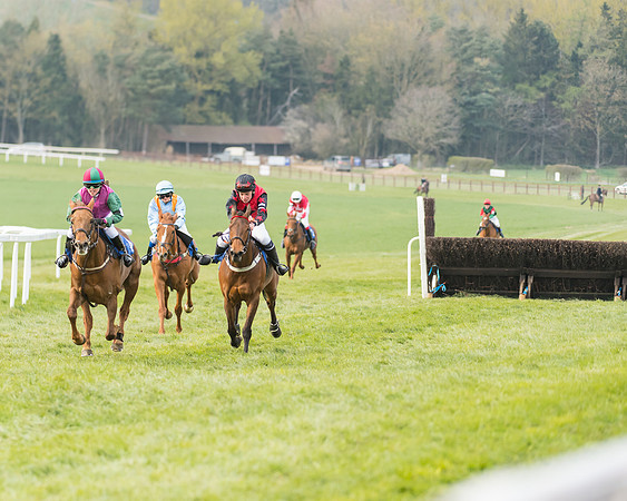 Pony Race 2  (9 of 33)