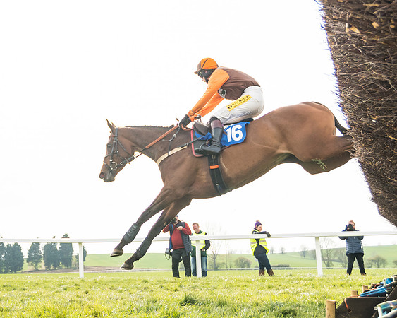 Race 6 - Restricted  (26 of 91)