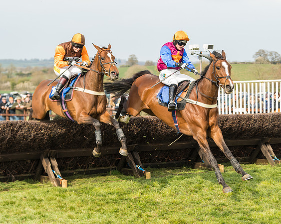 Race 6 - Restricted  (46 of 91)