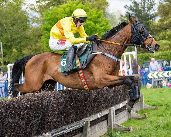 Race 5  - Maiden  (69 of 84)