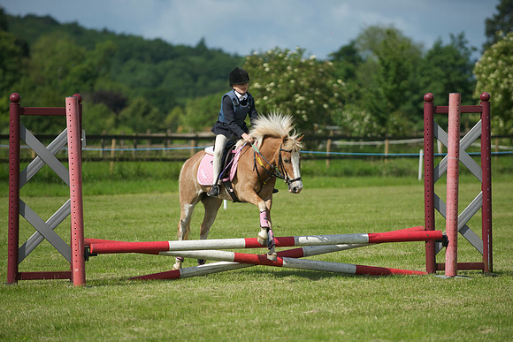 SOHS PC Summer Show at BCA 17th June 2012