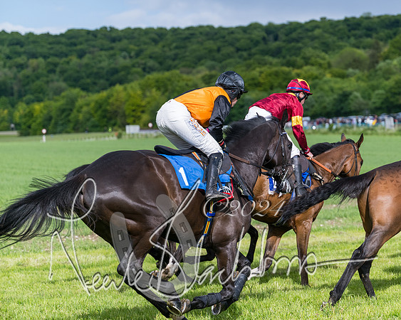 Race 5 - Restricted Race (224 of 434)