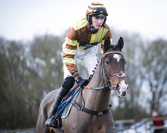 Race 1 - All Is True - Jack Andrews (4 of 38)