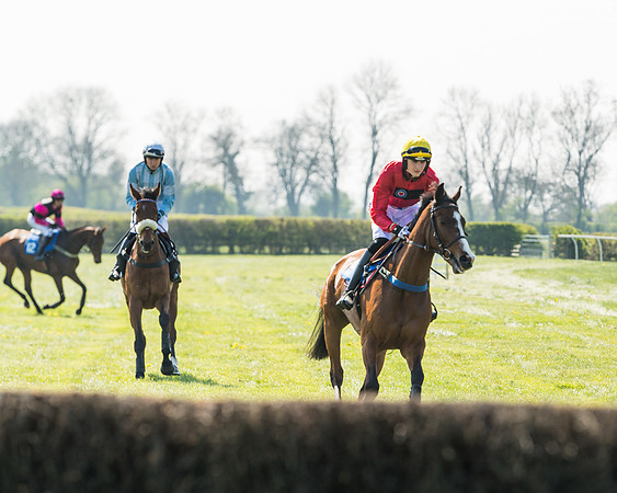 Race 2  - Open Maiden  (22 of 117)