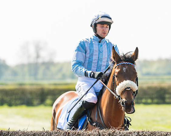 Race 2  - Open Maiden  (23 of 117)