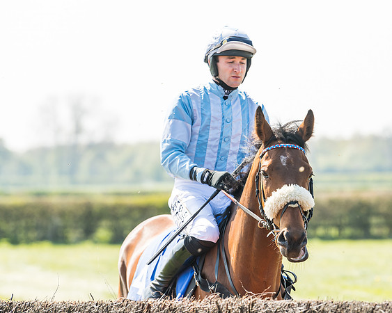 Race 2  - Open Maiden  (24 of 117)