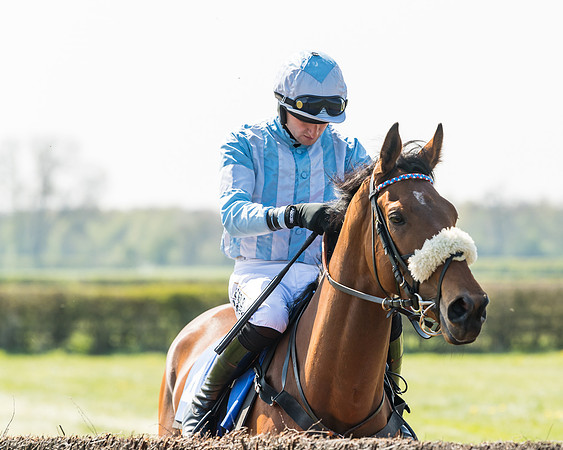 Race 2  - Open Maiden  (25 of 117)