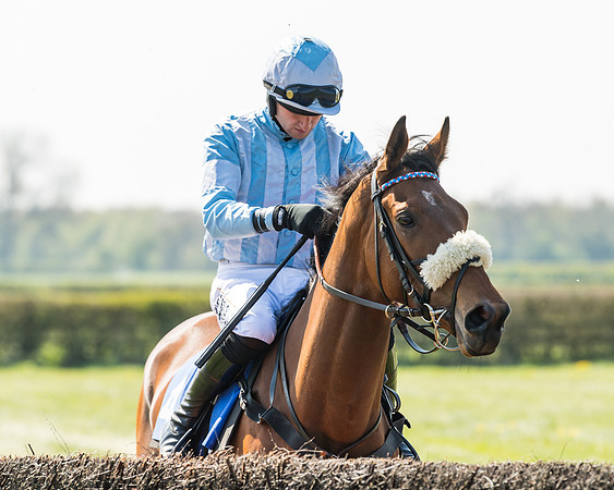 Race 2  - Open Maiden  (26 of 117)