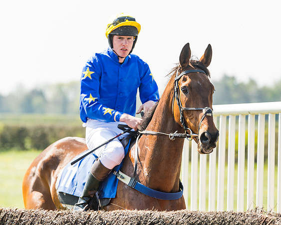 Race 2  - Open Maiden  (29 of 117)