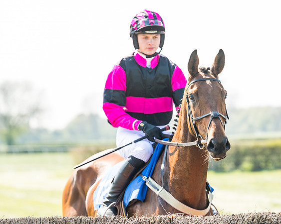 Race 2  - Open Maiden  (30 of 117)