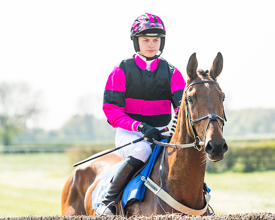 Race 2  - Open Maiden  (31 of 117)