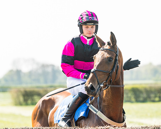 Race 2  - Open Maiden  (32 of 117)