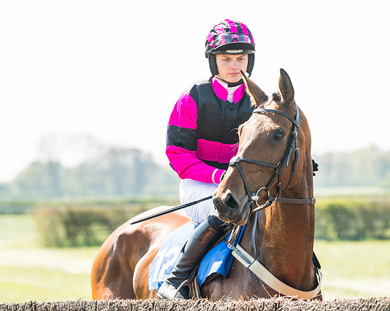 Race 2  - Open Maiden  (33 of 117)