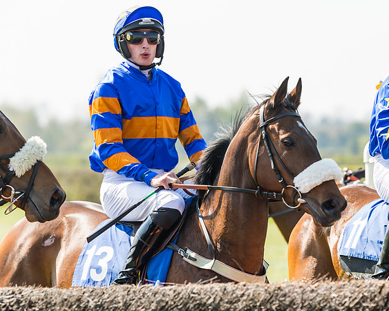 Race 2  - Open Maiden  (34 of 117)