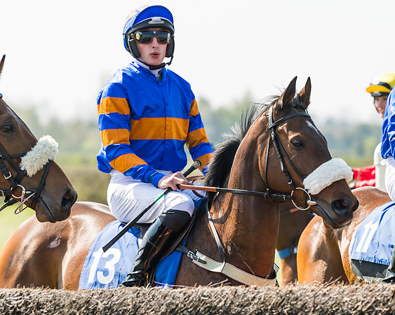 Race 2  - Open Maiden  (35 of 117)