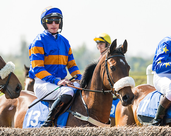 Race 2  - Open Maiden  (36 of 117)