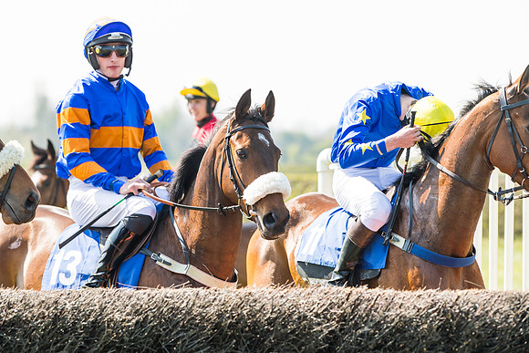 Race 2  - Open Maiden  (37 of 117)