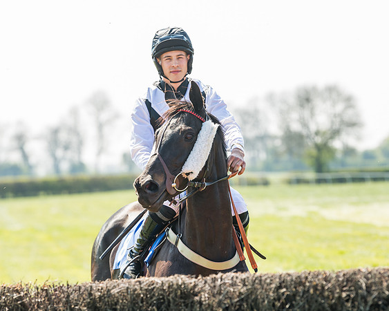 Race 2  - Open Maiden  (38 of 117)
