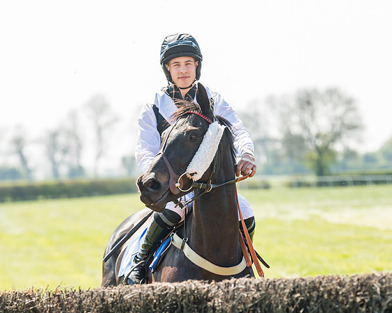 Race 2  - Open Maiden  (39 of 117)