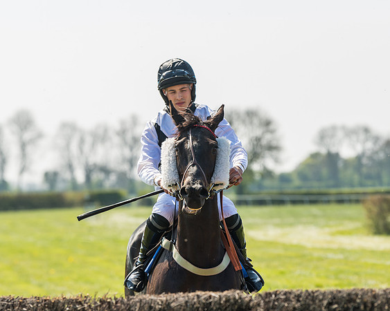 Race 2  - Open Maiden  (40 of 117)