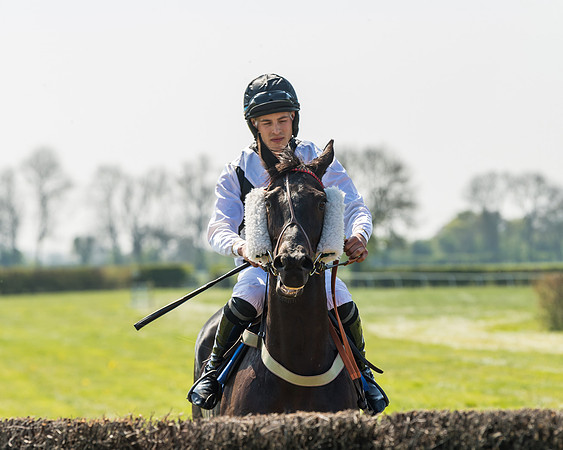 Race 2  - Open Maiden  (41 of 117)