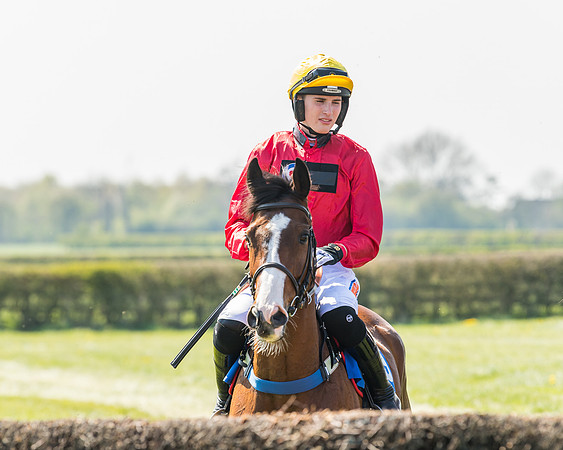 Race 2  - Open Maiden  (42 of 117)
