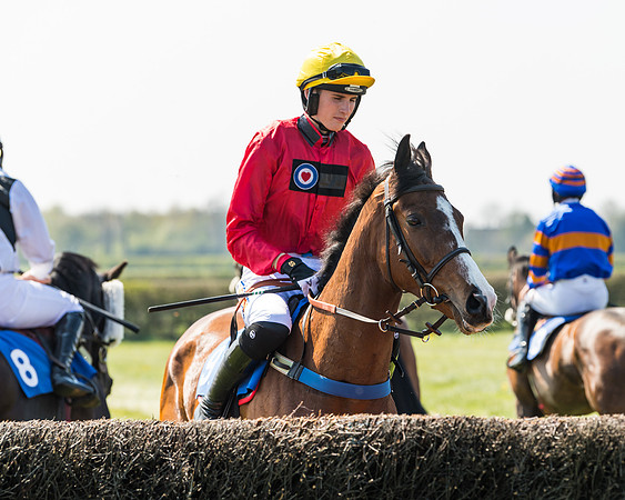 Race 2  - Open Maiden  (43 of 117)