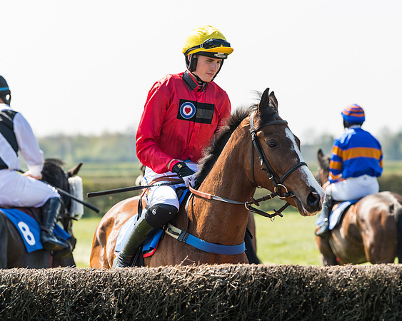 Race 2  - Open Maiden  (44 of 117)