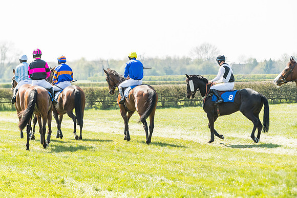 Race 2  - Open Maiden  (45 of 117)