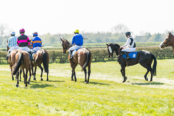 Race 2  - Open Maiden  (46 of 117)