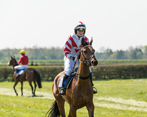 Race 2  - Open Maiden  (47 of 117)