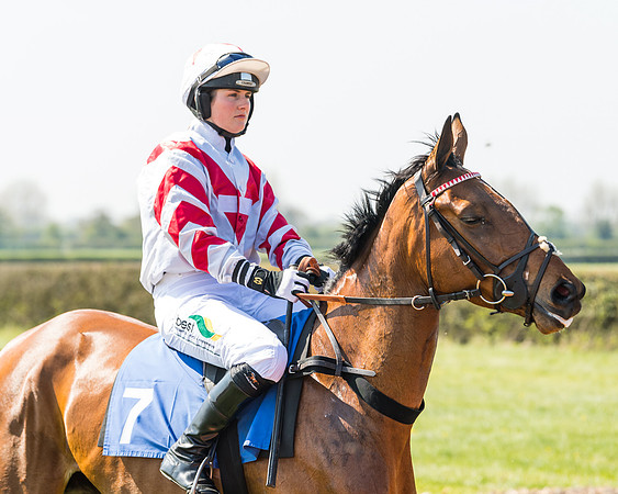 Race 2  - Open Maiden  (48 of 117)