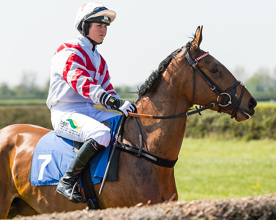 Race 2  - Open Maiden  (49 of 117)