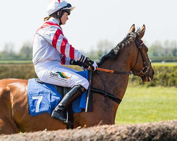 Race 2  - Open Maiden  (51 of 117)