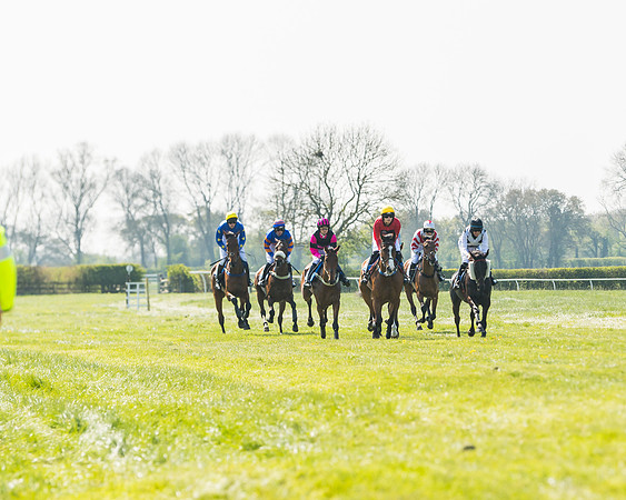 Race 2  - Open Maiden  (52 of 117)