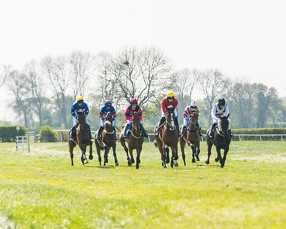 Race 2  - Open Maiden  (53 of 117)