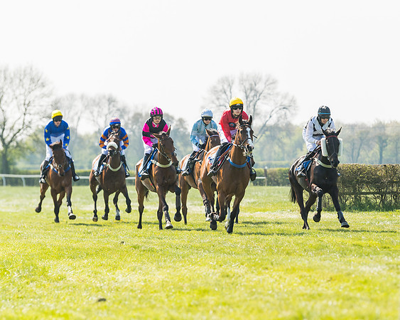 Race 2  - Open Maiden  (54 of 117)