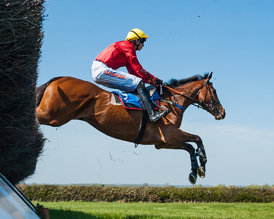 Race 2  - Open Maiden  (56 of 117)