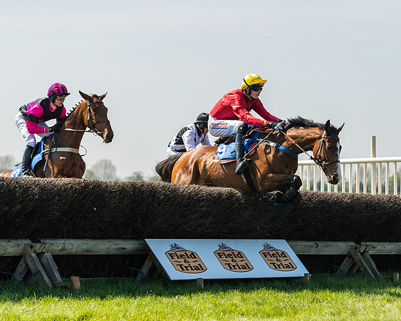 Race 2  - Open Maiden  (59 of 117)