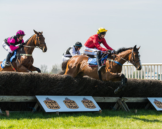 Race 2  - Open Maiden  (60 of 117)