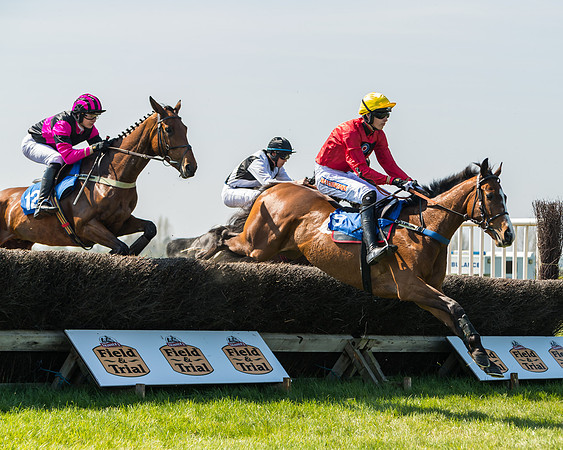 Race 2  - Open Maiden  (61 of 117)