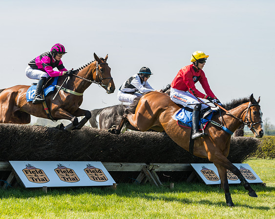 Race 2  - Open Maiden  (62 of 117)