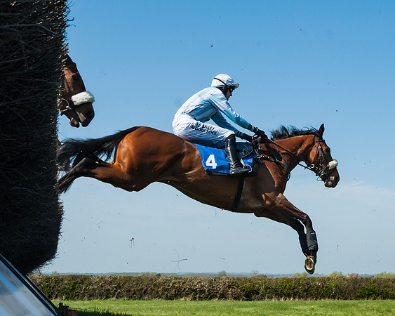Race 2  - Open Maiden  (63 of 117)