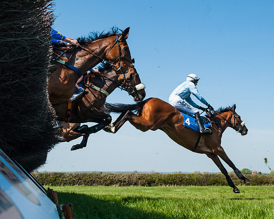 Race 2  - Open Maiden  (64 of 117)