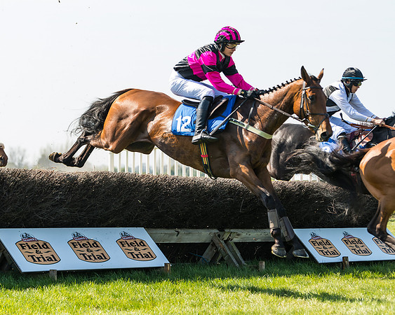 Race 2  - Open Maiden  (65 of 117)
