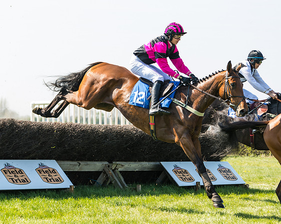 Race 2  - Open Maiden  (66 of 117)