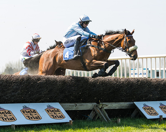 Race 2  - Open Maiden  (68 of 117)