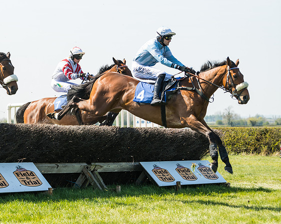 Race 2  - Open Maiden  (70 of 117)