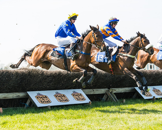 Race 2  - Open Maiden  (71 of 117)